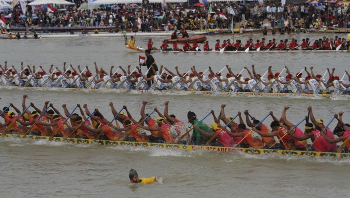Peserta beradu kecepatan saat Festival Pacu Jalur 2025 di Sungai Kuantan, Kabupaten Singingi, Riau, Rabu (20/8/2025). Festival Pacu Jalur yang berlangsung dari 20 - 24 Agustus 2025 tersebut diikuti 228 peserta dari berbagai kabupaten kota di Riau.  ANTARA FOTO/Hadly Vavaldi/Lmo/nym.