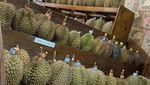 10 Tempat Jajan Durian Premium, Lengkap dengan Dessertnya!