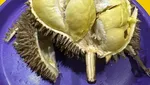 10 Tempat Jajan Durian Premium, Lengkap dengan Dessertnya!