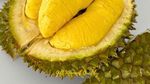 10 Tempat Jajan Durian Premium, Lengkap dengan Dessertnya!