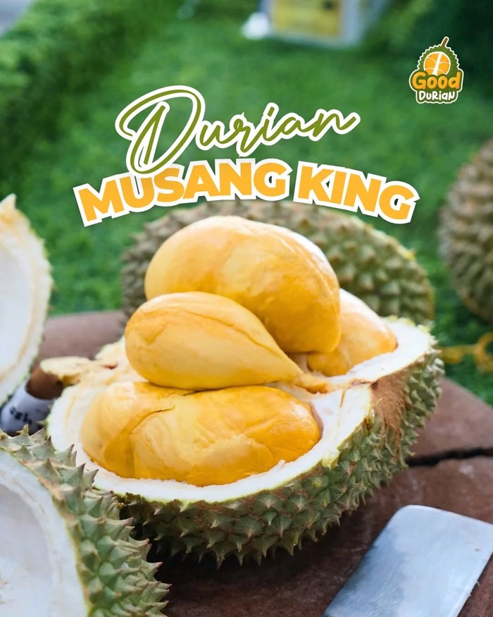 Tempat beli durian
