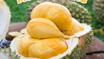 10 Tempat Jajan Durian Premium, Lengkap dengan Dessertnya!