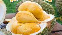 Good Durian menjadi salah satu tempat favorit pecinta durian. Di sini ada durian Musang King yang lembut dan creamy seharga Rp 259.000 / 400 gram. Foto: Instagram/@gooddurian.id