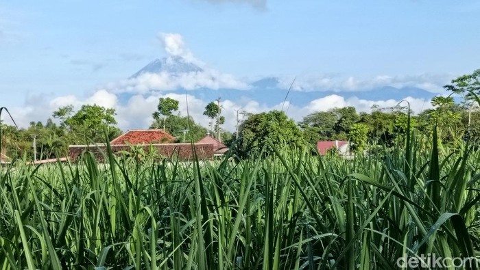 Gunung Semeru erupsi