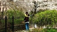 Seoul berencana mengembangkan konten pariwisata ramah generasi muda. Kota ini juga menargetkan pengalaman perjalanan yang stylish dan imersif bagi wisatawan Gen Z dan milenial. Chris Jung/NurPhoto via Getty Images