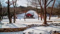Penghargaan ini menambah daftar panjang prestasi Seoul. Pada Februari 2025, Tripadvisor menobatkannya sebagai kota terbaik untuk perjalanan solo, dan Global Traveler menilai Seoul sebagai kota terbaik untuk MICE selama 10 tahun berturut-turut. Jaewon Lee/SOPA Images/LightRocket via Getty Images