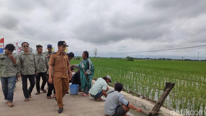 Lomba mancing di selokan Desa Kalianyar, Kabupaten Cirebon.