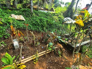 Sukabumi-Cianjur Sepekan: Nestapa Balita Raya Digerogoti Cacing