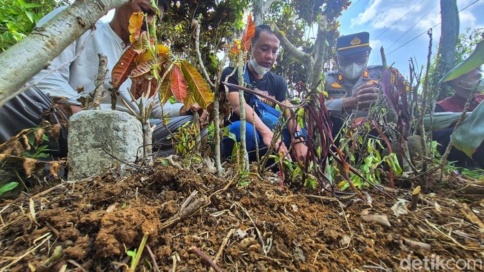 Makam Raya, bocah Sukabumi yang meninggal karena cacing.