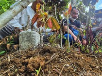 Kematian Raya yang Jadi Alarm Nasional