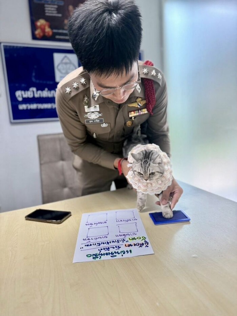 Seekor kucing berkeliaran di Bangkok, kemudian diamankan polisi. Eh, petugasnya malah dicakar-cakar. Langsung deh, diproses!