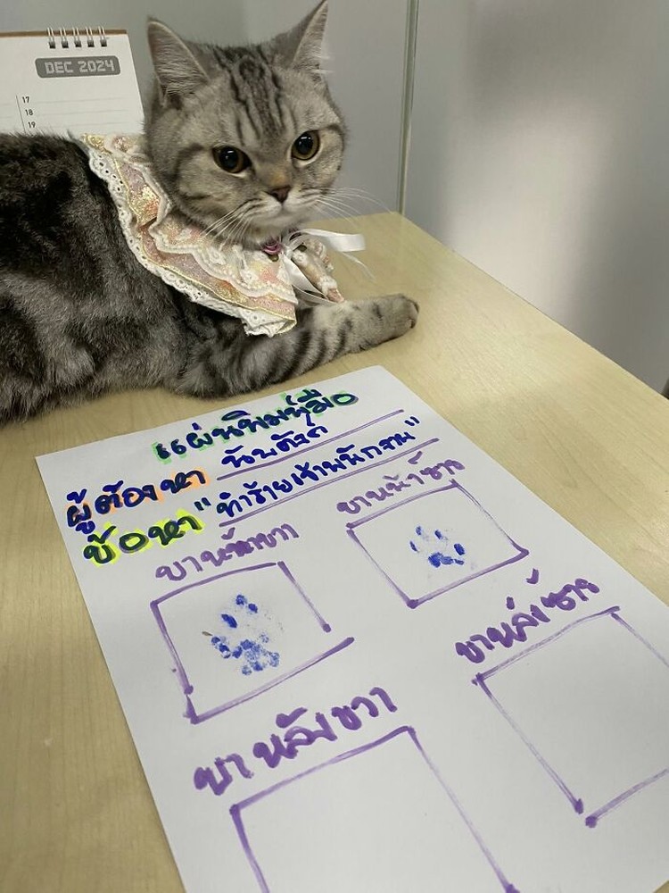 Seekor kucing berkeliaran di Bangkok, kemudian diamankan polisi. Eh, petugasnya malah dicakar-cakar. Langsung deh, diproses!