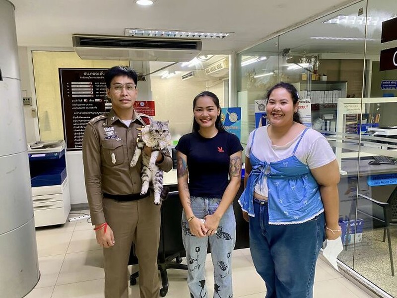 Seekor kucing berkeliaran di Bangkok, kemudian diamankan polisi. Eh, petugasnya malah dicakar-cakar. Langsung deh, diproses!