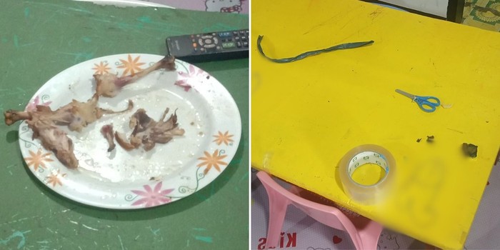Bobol Tempat Penitipan Anak, Pencuri Ini Hanya Melahap Habis Ayam Goreng.