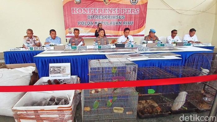 Polisi gagalkan penyelundupan telur Penyu dan Satwa Dilindungi di Batam. (Alamudin Hamapu/detikSumut)