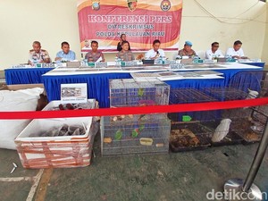 Polda Kepri Gagalkan Penyelundupan 2.020 Telur Penyu-Satwa Dilindungi