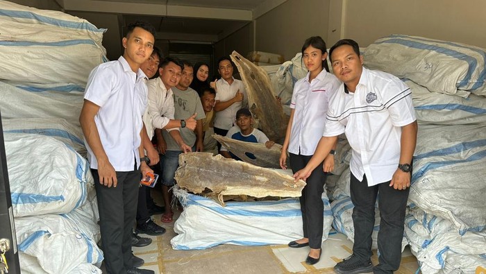 Polisi menunjukkan barang bukti ikan kulit ikan pari di sebuah gudang, Batam, Kepri. (Dok Ditreskrimsus Polda Kepri)