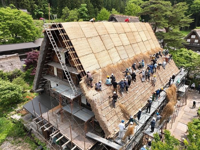 Potret penggantian atap jerami atau Yui