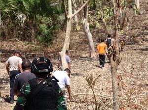 Kronologi Pria NTT Tewas Ditembak Saat Berburu di Hutan Timor Leste