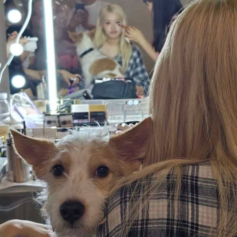 Rose BLACKPINK dan anjing kesayangannya Hank