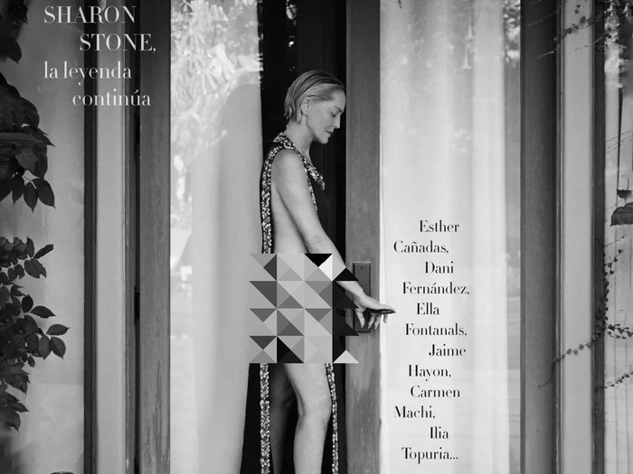 HOLLYWOOD, CALIFORNIA - NOVEMBER 17: Sharon Stone attends the 2024 Governors Awards at Dolby Theatre on November 17, 2024 in Hollywood, California.  (Photo by Jon Kopaloff/Getty Images)