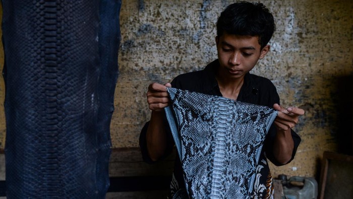 Tas Kulit Ular Khas Tangerang Tembus Pasar Ekspor hingga Timur Tengah Perajin menunjukkan tas yang terbuat dari bahan kulit ular di Khyang Leather, Cisoka, Kabupaten Tangerang, Banten, Kamis (21/8/2025). Kerajinan berupa tas, dompet serta sabuk yang terbuat dari kulit ular tersebut dijual seharga Rp500.000 - Rp3.000.000 dan telah menembus pasar ekspor hingga ke Korea Selatan, Kuwait dan Qatar. ANTARA FOTO/Putra M. Akbar/nz