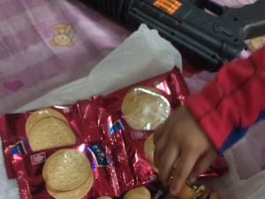 Bupati Tasikmalaya Bentuk Satgas Awasi Program Makan Bergizi Gratis