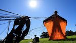 Aksi Wingsuit Afrika Selatan Pukau Dunia Ekstrem
