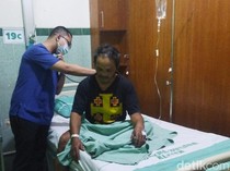 Warga Gemampir Klaten Pingsan Diserang Tawon Gung Saat Tebang Bambu