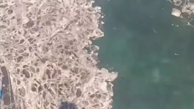 Lendir aneh mengotori pantai di Malta