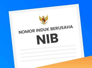 Apa itu NIB? Simak Penjelasan Lengkap dan Aturan Terbarunya