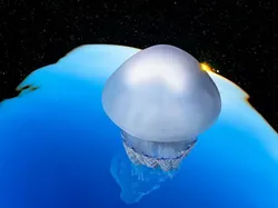 Karya Luar Biasa Finalis Kontes Fotografer Laut, Banyak di Indonesia