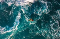 Ocean Photographer of the Year 2025