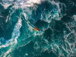 Karya Luar Biasa Finalis Kontes Fotografer Laut, Banyak di Indonesia