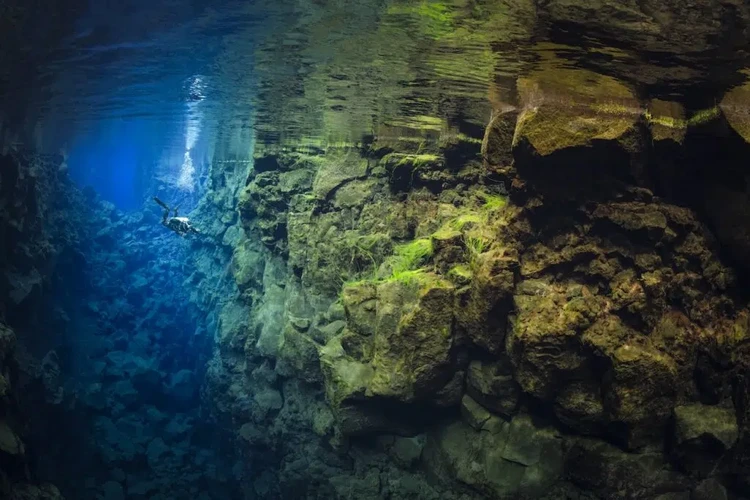 Ocean Photographer of the Year 2025 Ocean Photographer of the Year 2025