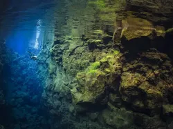 Karya Luar Biasa Finalis Kontes Fotografer Laut, Banyak di Indonesia