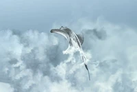 Ocean Photographer of the Year 2025
