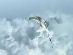 Karya Luar Biasa Finalis Kontes Fotografer Laut, Banyak di Indonesia