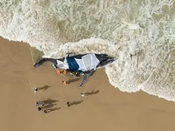 Karya Luar Biasa Finalis Kontes Fotografer Laut, Banyak di Indonesia