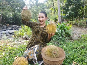 Hutan Durian Terbesar Asia Tenggara, Ada di Desa Wisata Ini