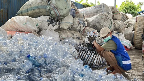 Pengepul memilah sampah botol plastik di Bali PET Collection, Desa Kesiman Kertalangu, Denpasar, Jumat (22/8/2025). (Rizki Setyo Samudero/detikBali)