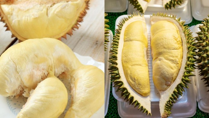 Perbedaan durian Medan vs durian montong Thailand