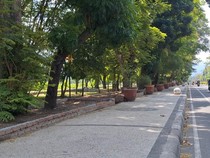 Pemkot Mataram Anggarkan Rp 200 Juta untuk Percantik Taman Udayana