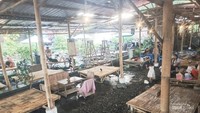 Spot lokasi makan sembari mainan air di atas sungai.