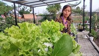 Salah satu spot edukasi pertanian juga ada di Taman Bhinneka.