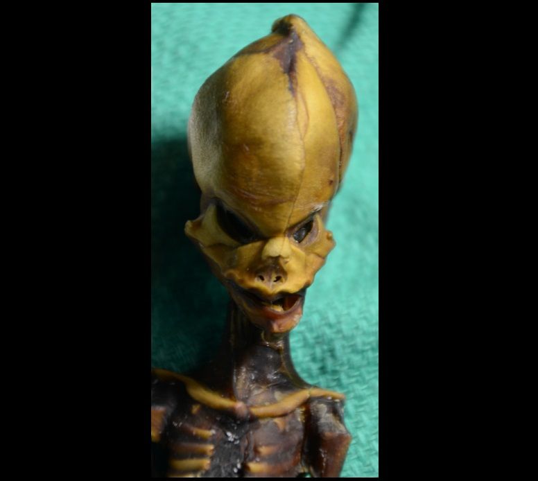Wujud tengkorak manusia yang menggegerkan ilmuwan. Ditemukan di Atacama, Chili.