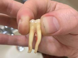 Bagian Unik dari Tubuh Manusia, Benar-benar Kuasa Tuhan