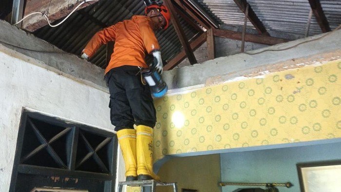 BPBD Kabupaten Bogor mencari ular di plafon rumah warga.