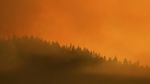 Kebakaran Hutan Hanguskan 1.309 Hektare di California