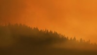 Seluas 3.235 acre atau 1.309 hectare lahan terbakar pada Jumat sore dengan tingkat pengendalian (penanggulangan) baru mencapai 7%. Luasnya area yang terbakar membuat akses bagi tim pemadam menjadi sulit karena medannya terjal. Foto: REUTERS/Fred Greaves